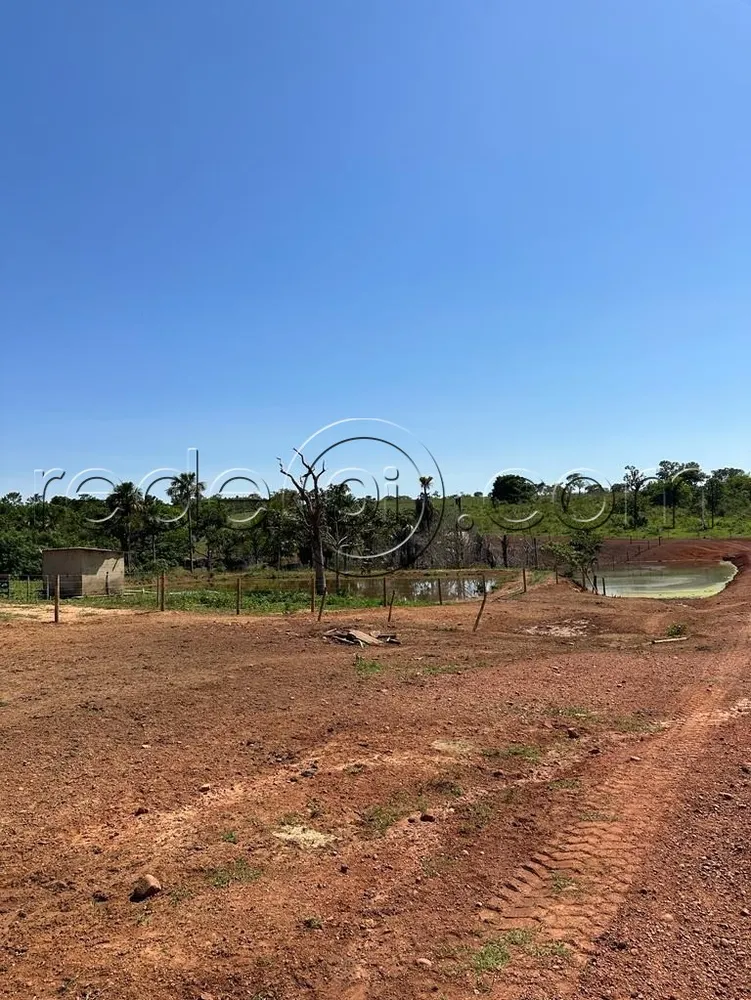 Fazenda, 16 hectares - Foto 8