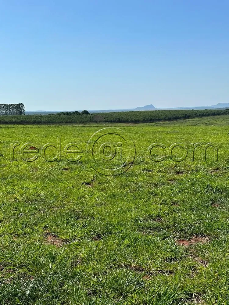 Fazenda, 16 hectares - Foto 1