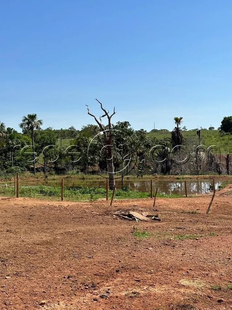 Fazenda, 16 hectares - Foto 6