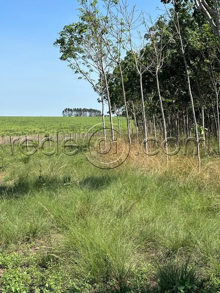 Fazenda, 16 hectares - Foto 3