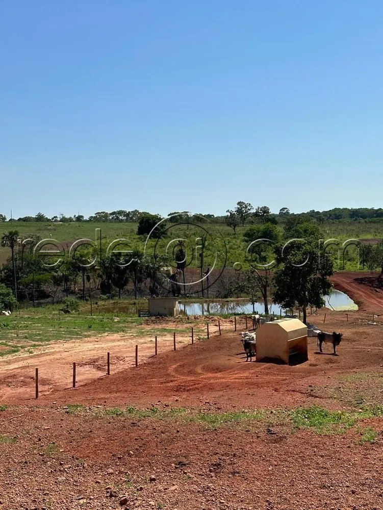 Fazenda, 16 hectares - Foto 4