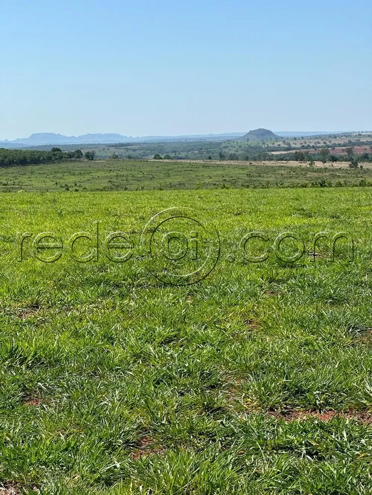 Fazenda, 16 hectares - Foto 2