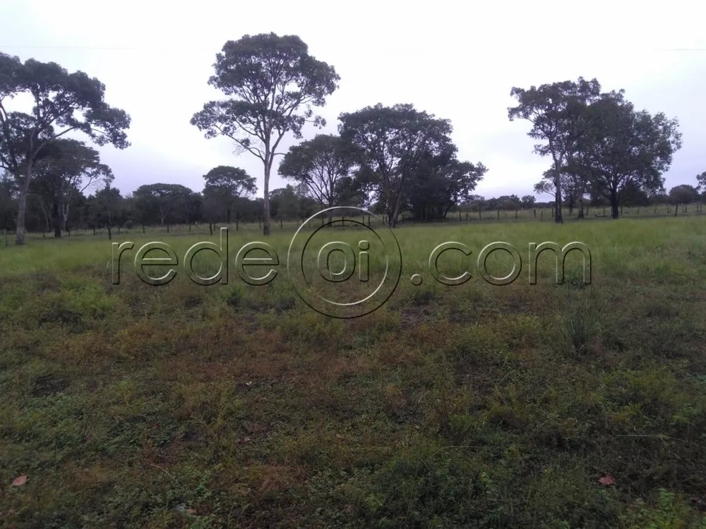 Fazenda à venda com 3 quartos, 1725m² - Foto 3