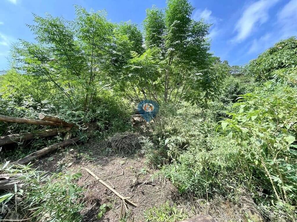 Terreno, 907 m² - Foto 6