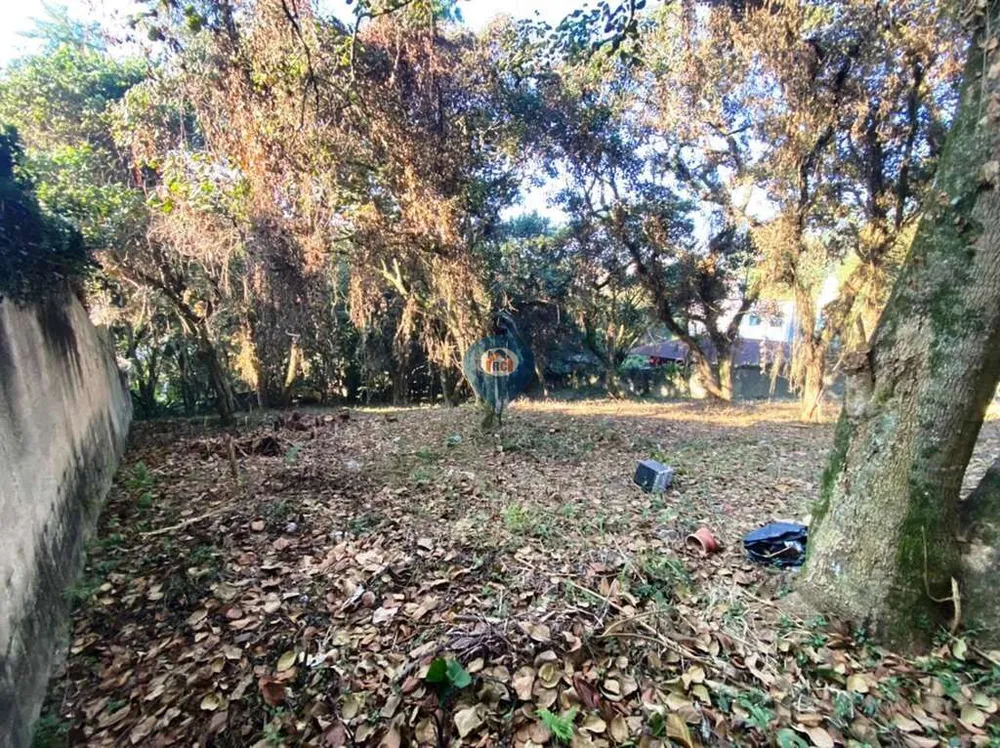 Terreno, 2334 m² - Foto 11