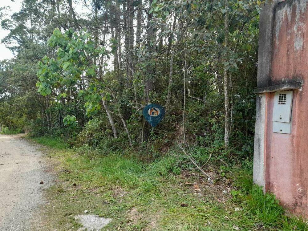 Terreno, 1550 m² - Foto 4