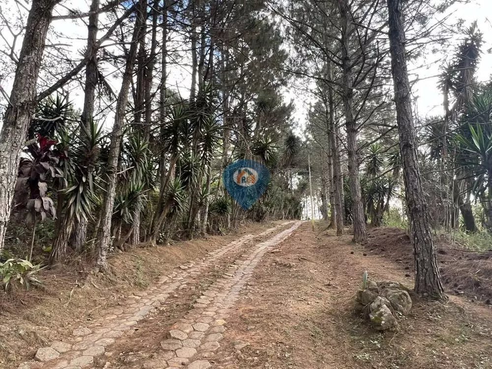 Terreno, 2 hectares - Foto 3