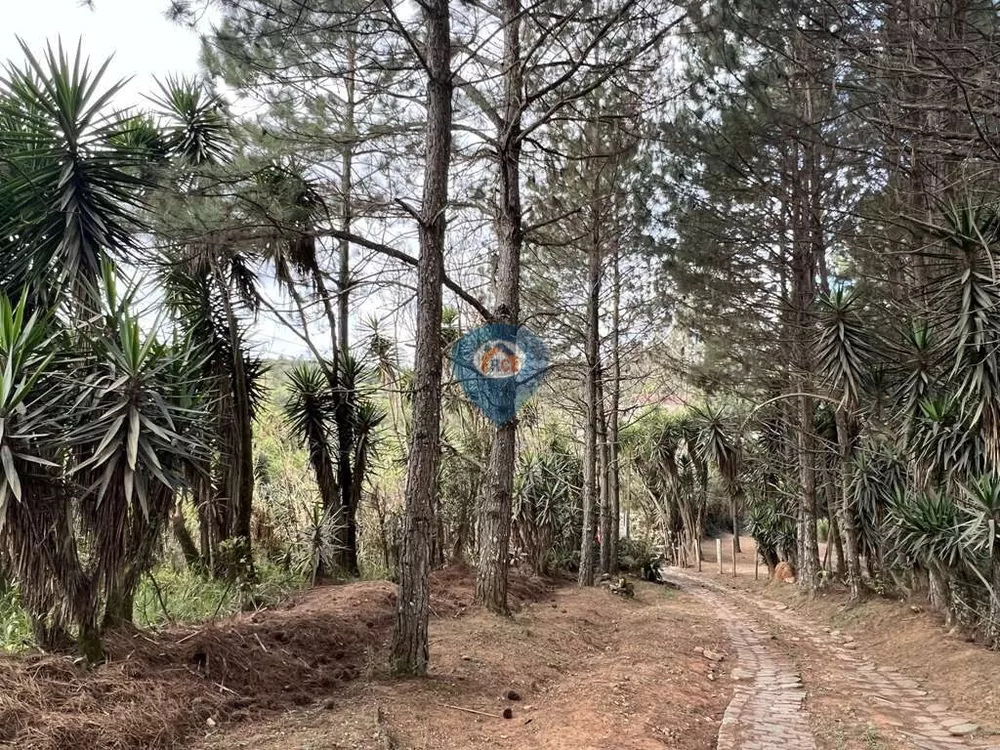 Terreno, 2 hectares - Foto 4