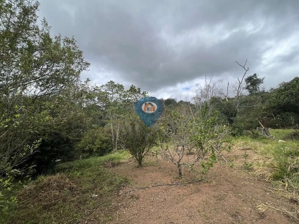 Terreno, 2 hectares - Foto 8