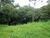 Terreno, 658 m² - Foto 6