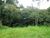 Terreno, 658 m² - Foto 7