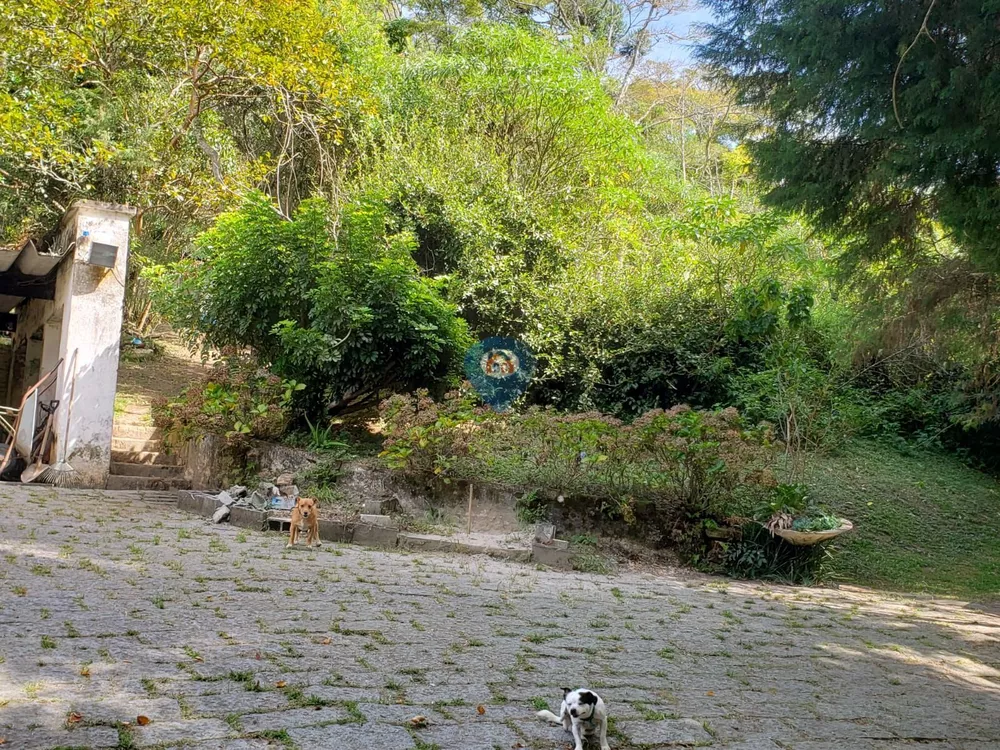 Terreno, 3 hectares - Foto 6