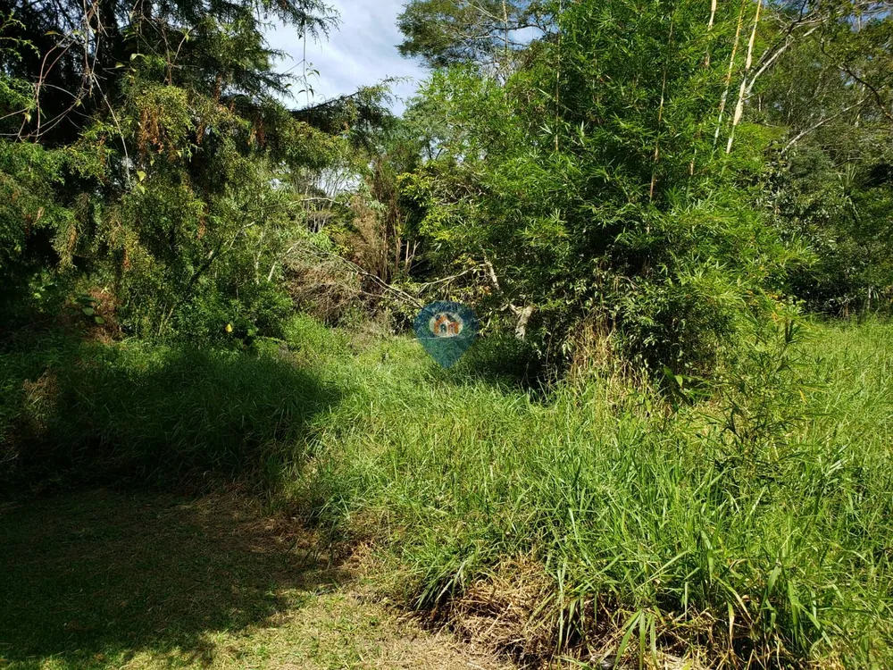 Terreno, 3 hectares - Foto 9