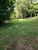 Terreno, 3 hectares - Foto 4