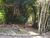 Terreno, 3 hectares - Foto 6