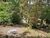 Terreno, 3 hectares - Foto 11