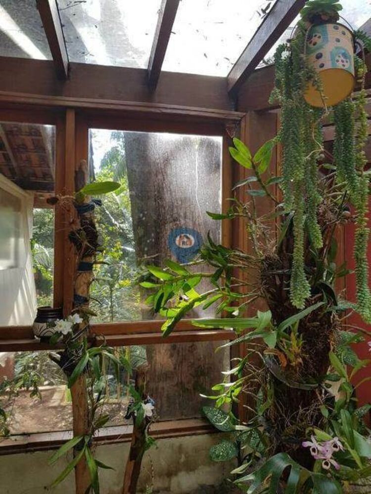 Chácara, 5 quartos, 210 hectares - Foto 22