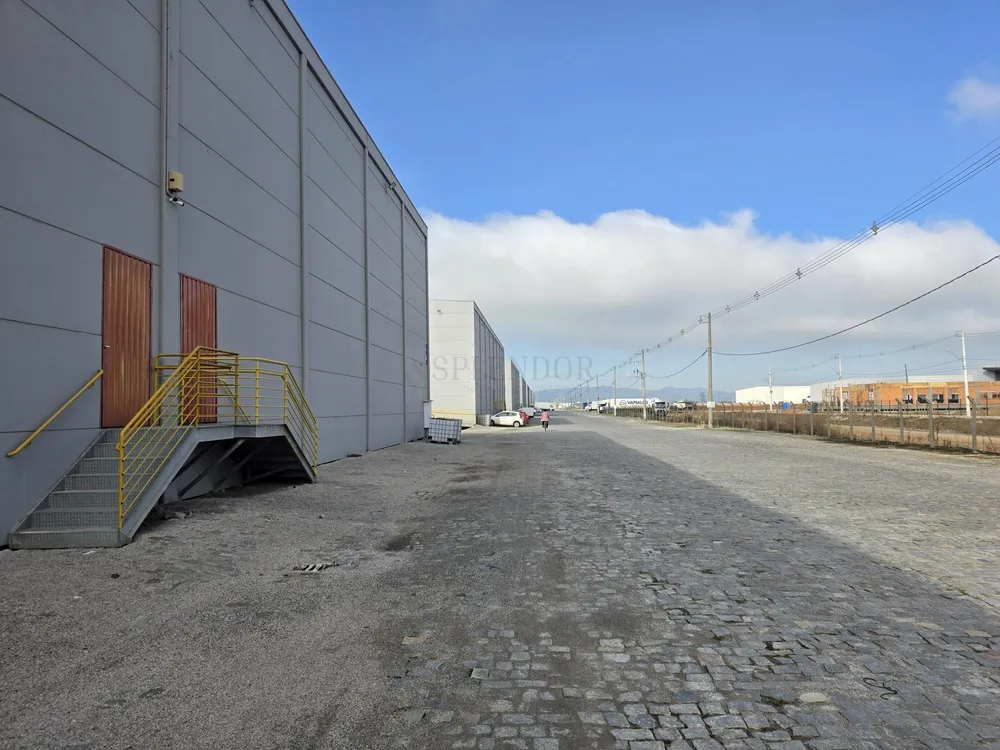 Depósito-Galpão, 2834 m² - Foto 5