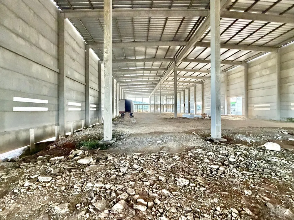 Depósito-Galpão, 5000 m² - Foto 3