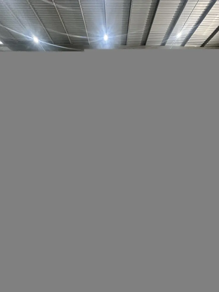 Depósito-Galpão, 10000 m² - Foto 5