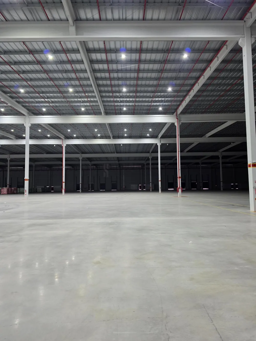 Depósito-Galpão, 1687 m² - Foto 1