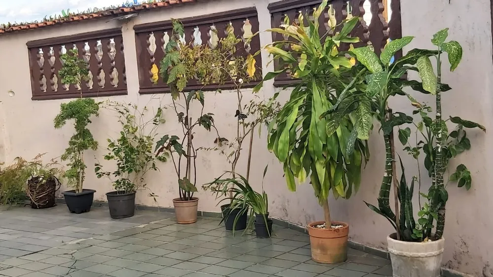 Casa, 3 quartos - Foto 6