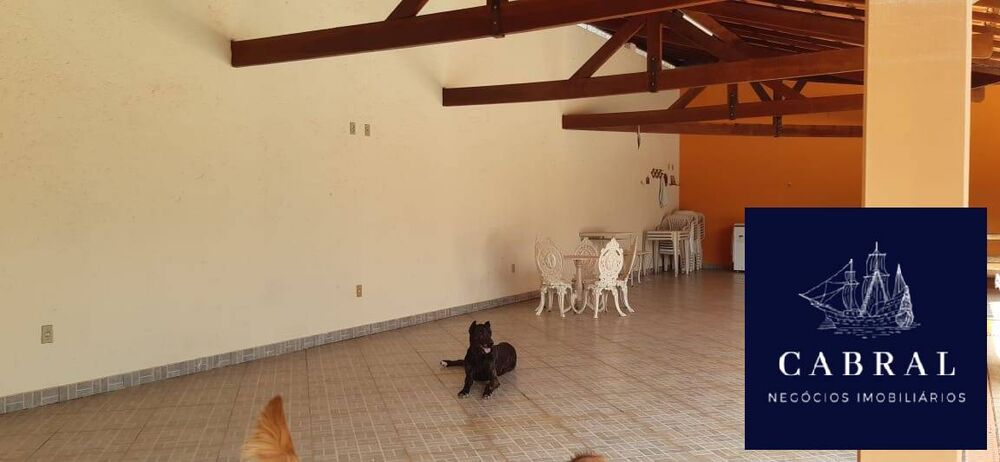 Chácara à venda com 3 quartos, 20000m² - Foto 3