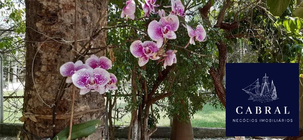 Chácara, 3 quartos, 2 hectares - Foto 10