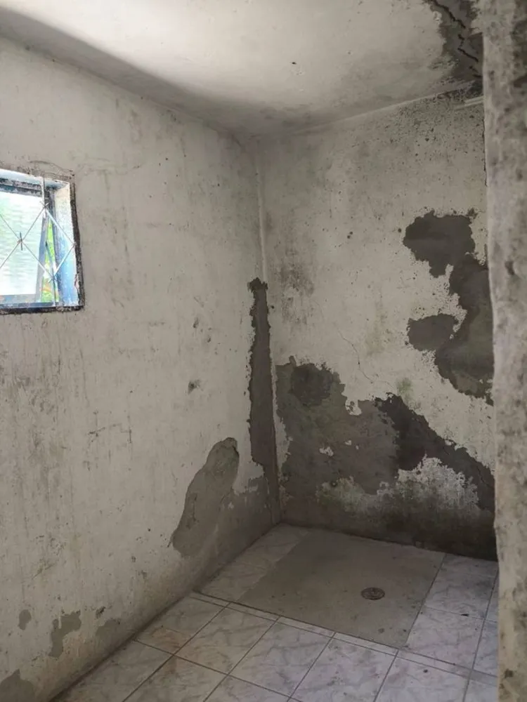 Casa, 4 quartos, 125 m² - Foto 6