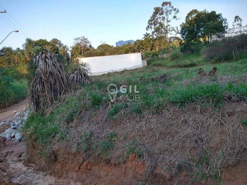 Terreno, 250 m² - Foto 1