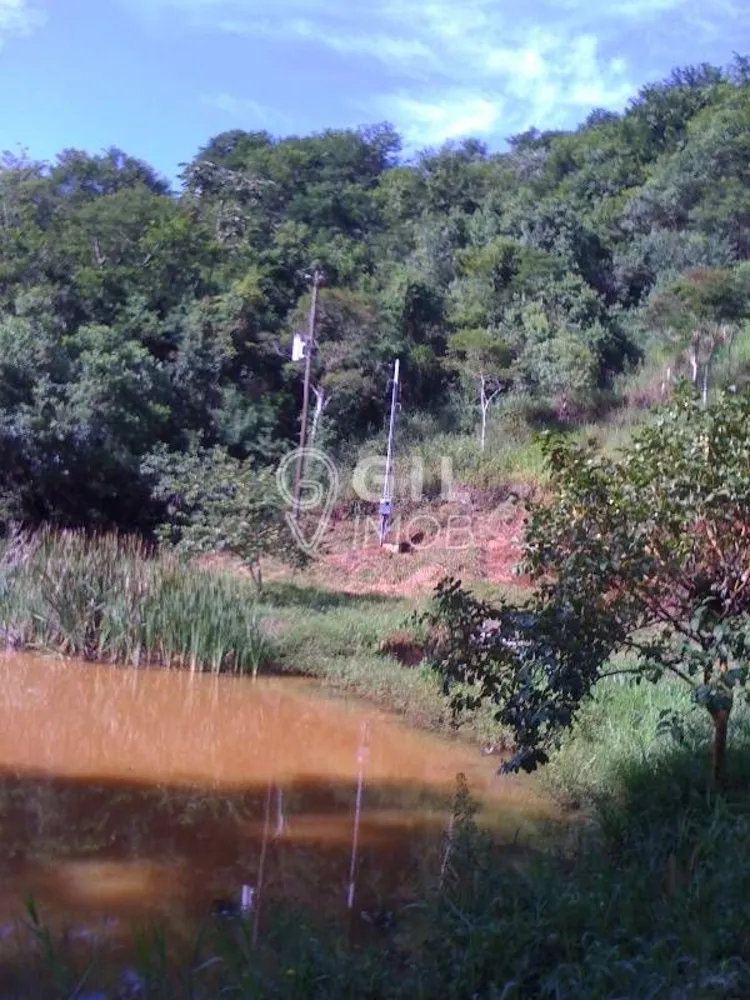 Sítio, 3 quartos, 34 hectares - Foto 10