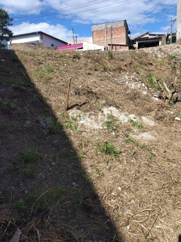 Terreno - Foto 5