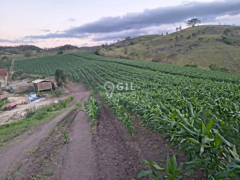 Terreno - Foto 1