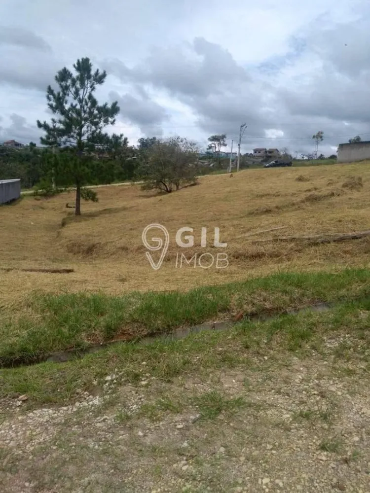 Terreno, 1204 m² - Foto 4