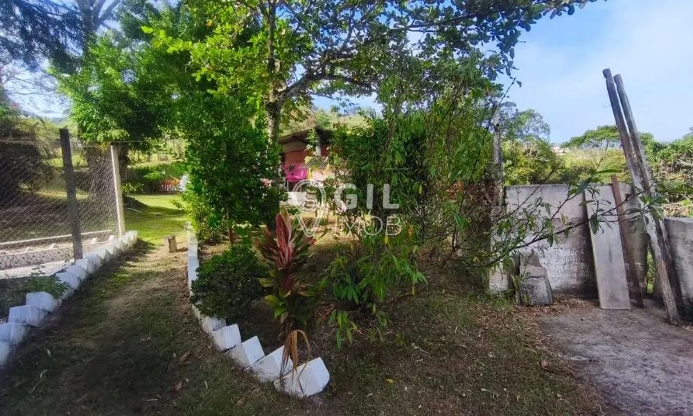 Chácara, 3 quartos, 5000 m² - Foto 3