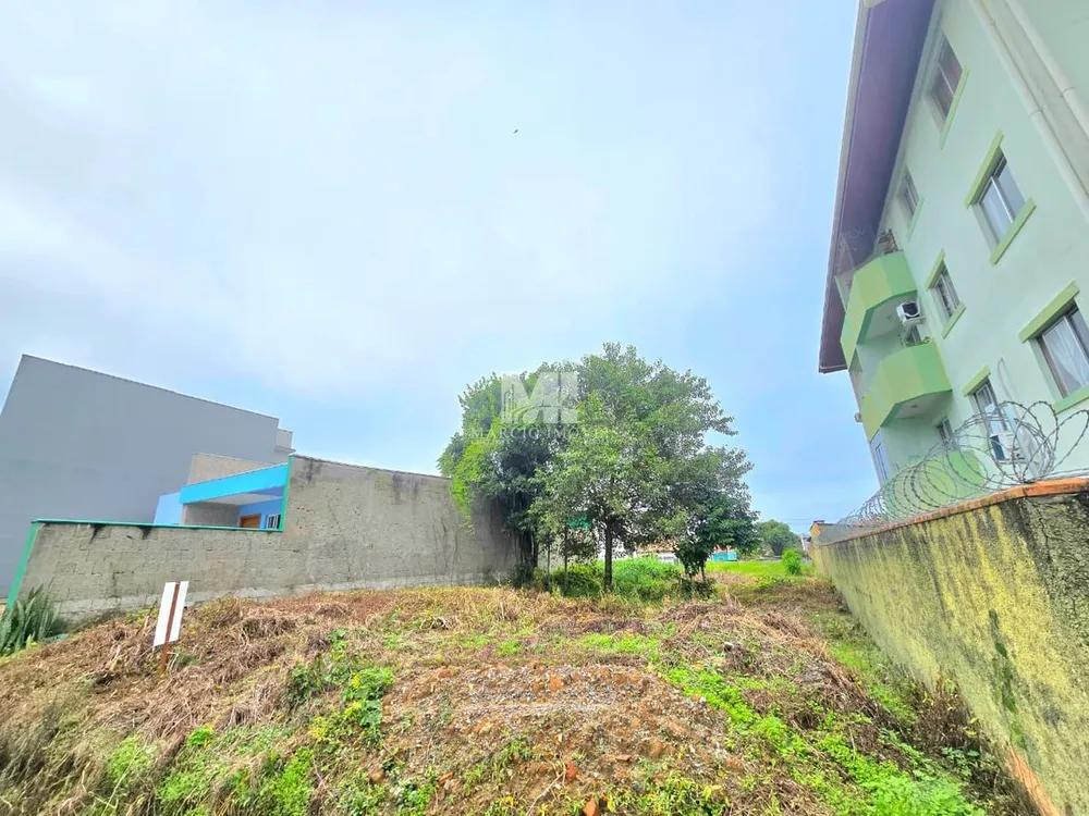 Terreno - Foto 3