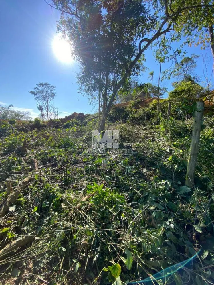 Terreno, 303 m² - Foto 1