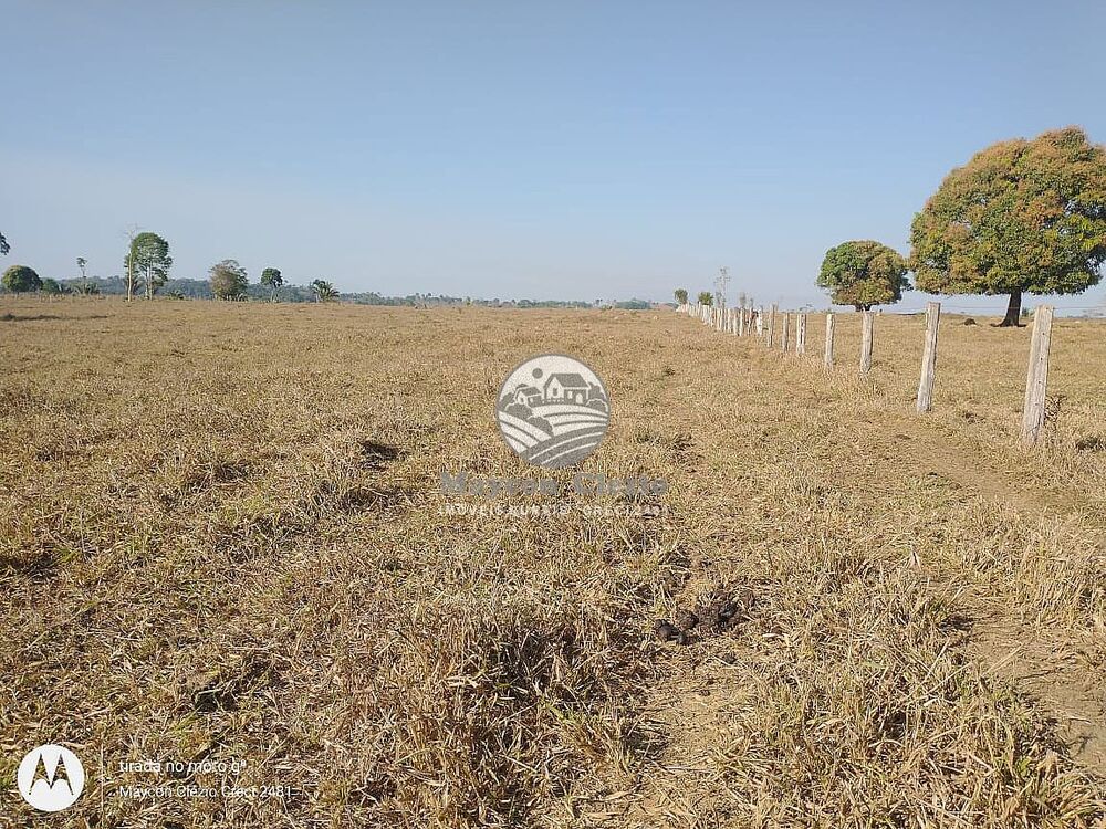 Fazenda à venda, 556000m² - Foto 4