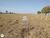 Fazenda-Sítio-Chácara - Foto 4