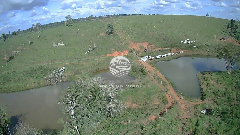 Fazenda-Sítio-Chácara, 61 hectares - Foto 13