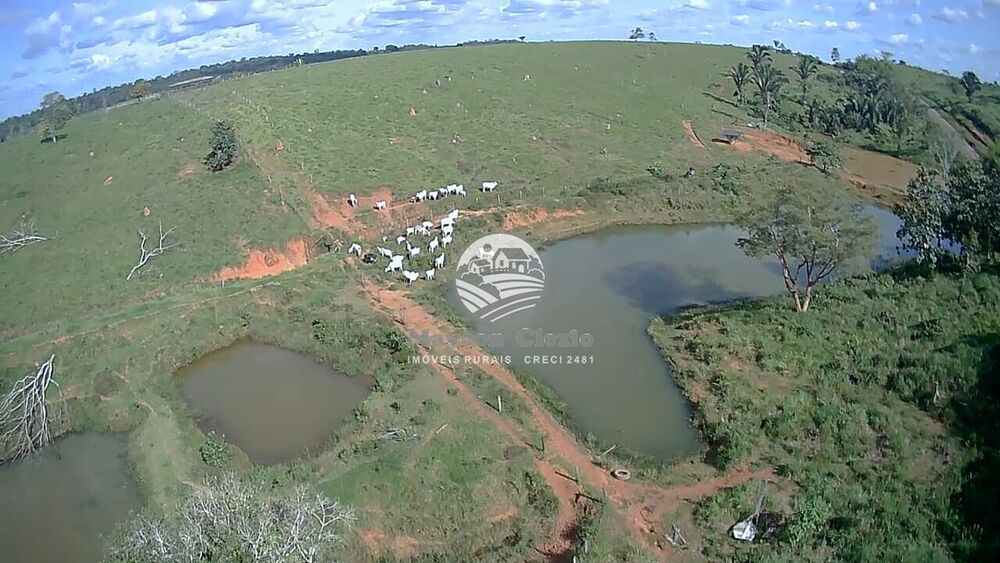 Fazenda-Sítio-Chácara, 61 hectares - Foto 25