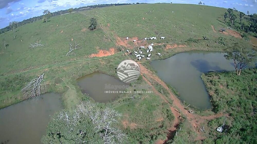 Fazenda-Sítio-Chácara, 61 hectares - Foto 32