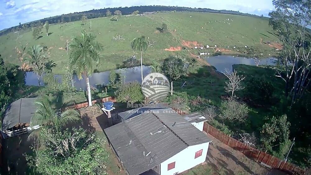 Fazenda-Sítio-Chácara, 61 hectares - Foto 18