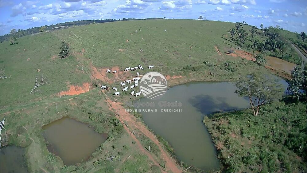 Fazenda-Sítio-Chácara, 61 hectares - Foto 16