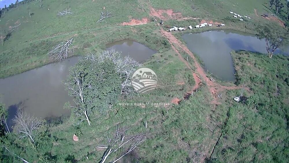 Fazenda-Sítio-Chácara, 61 hectares - Foto 27