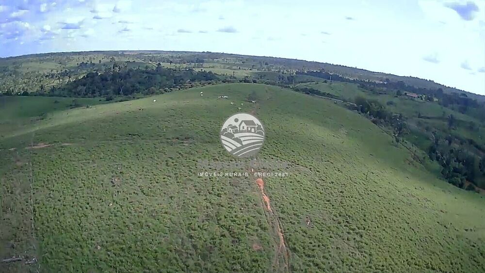 Fazenda-Sítio-Chácara, 61 hectares - Foto 8