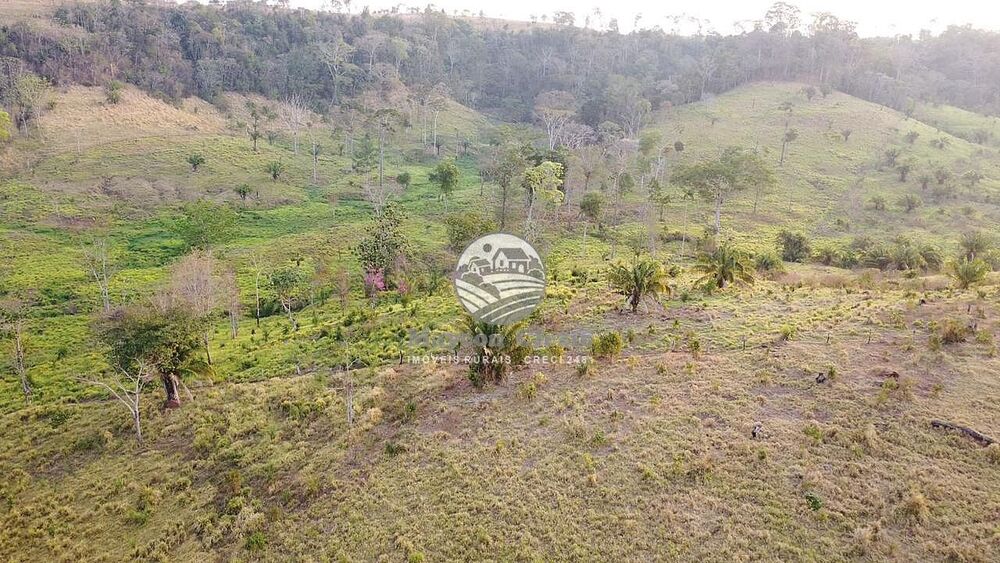 Fazenda - Foto 7