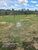 Fazenda-Sítio-Chácara - Foto 5
