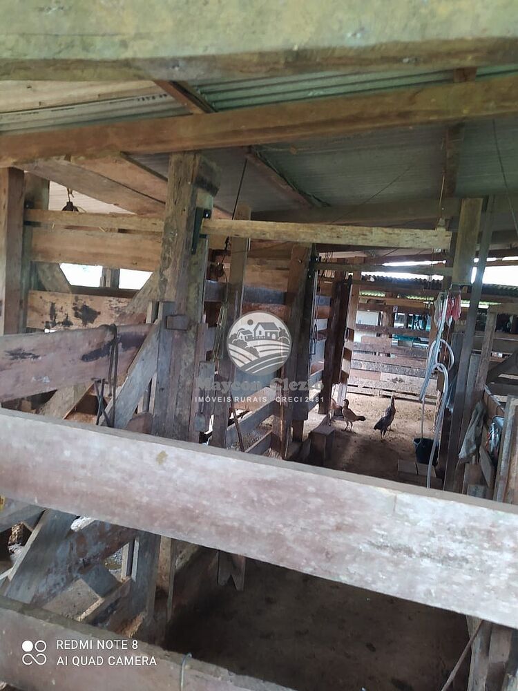 Fazenda-Sítio-Chácara - Foto 2