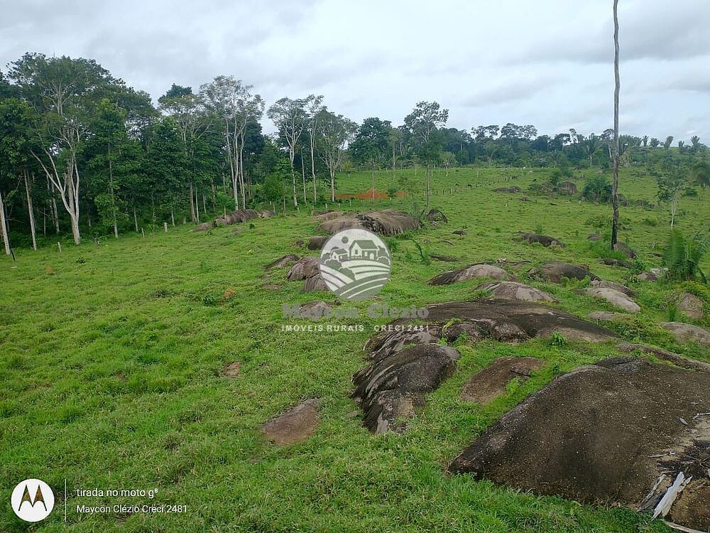 Fazenda-Sítio-Chácara - Foto 15